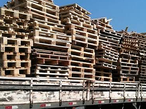 Coleta de Paletes Prime Pallets